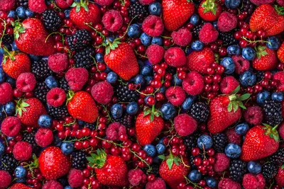 Fruit fillings: taste, fruit integrity and a cleaner label - Puratos