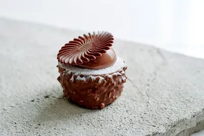 Belcolade Selection M. Plant-Based Cacao-Trace