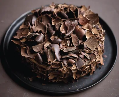 Belcolade Dark Shavings