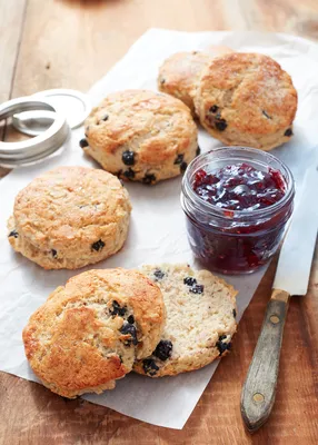 Sprouted Grain and Blueberry Scones
