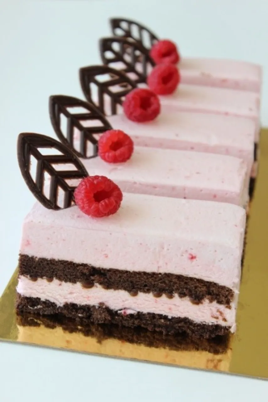 Chocolate Raspberry Mousse Cake - Puratos