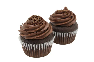 Vegan Double Chocolate Cupcakes